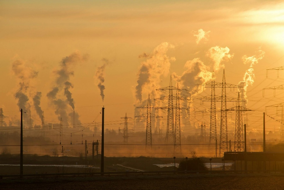 <strong><strong>Environment & Climate Action</strong></strong>